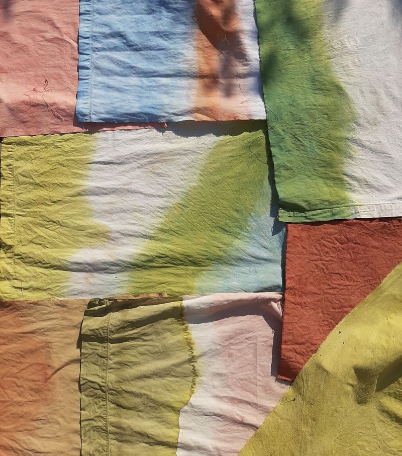 Billet Atelier - Initiez-vous à la teinture végétale