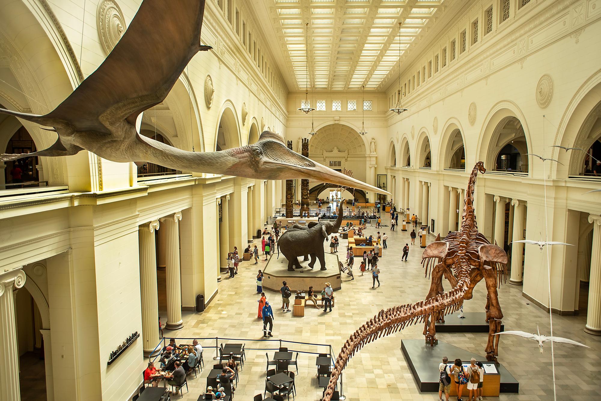 Field Museum de Chicago