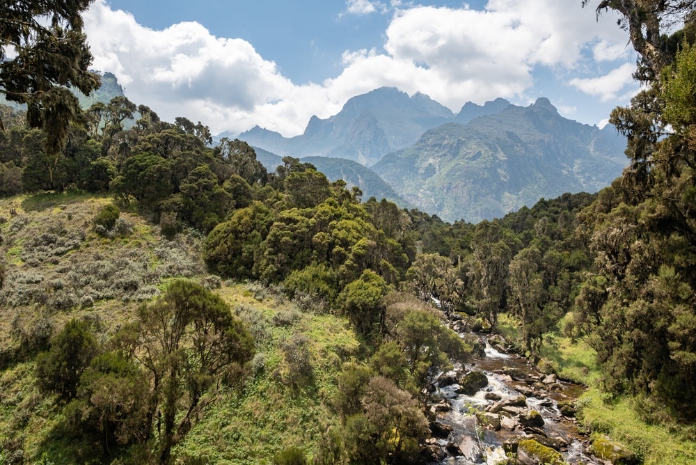 Ouganda - destinations et expériences