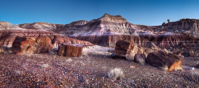 Parc National de Petrified Forest