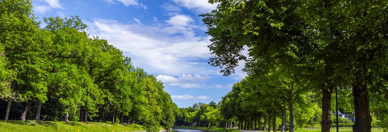 Billet Balade en bateau sur le canal royal de Stockholm