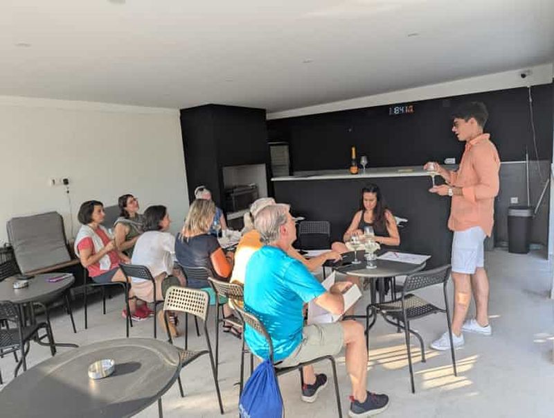 Billet Novi Sad : dégustation de vins de Fruška Gora accompagnée de bouchées locales