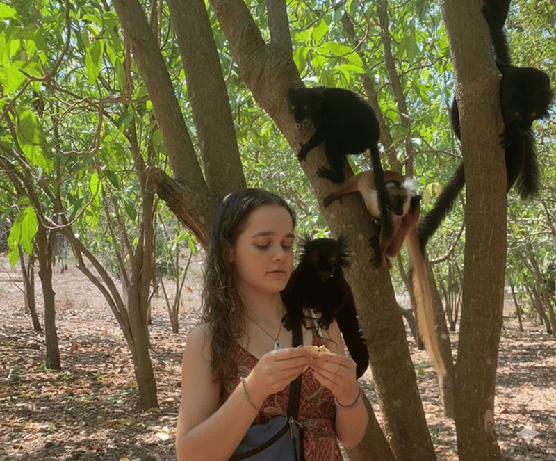 Billet Excursion à Nosy Be : lémuriens et faune de Nosy Komba