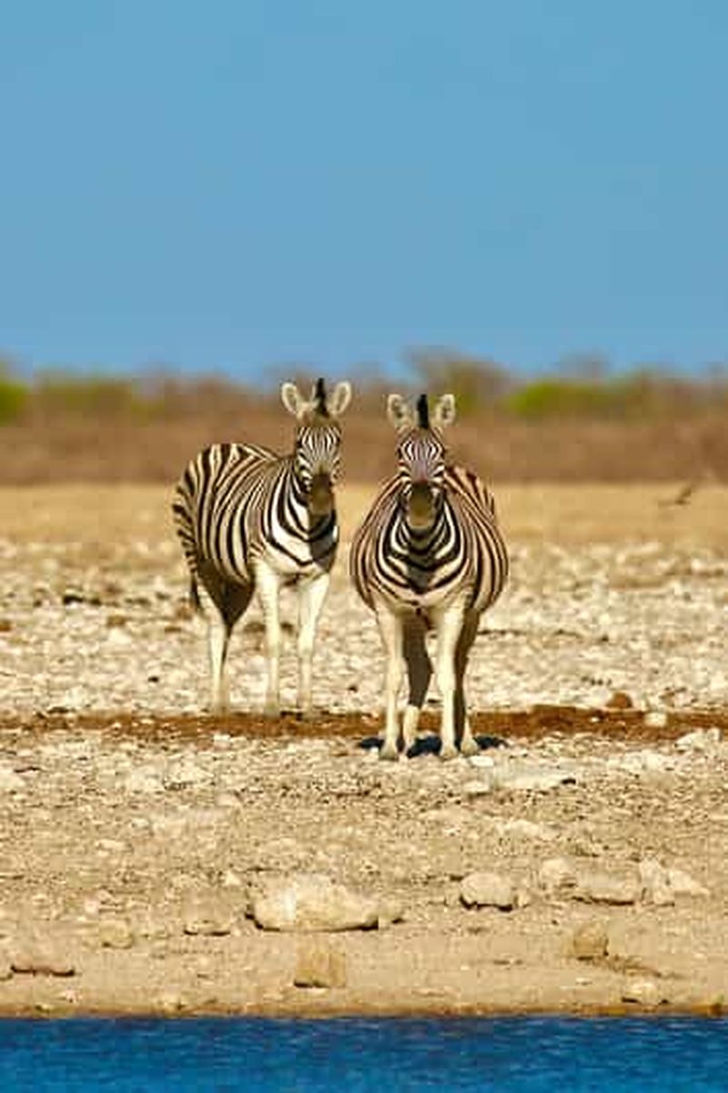 Billet Hébergement de 4 jours à Sossusvlei et Swakopmund