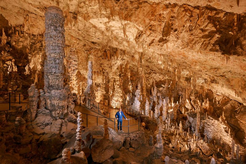 Billet Grotte de Postojna & château de Predjama : visite au départ de Ljubljana