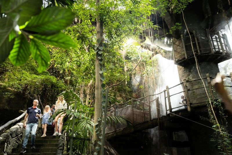 Billet Universeum : Billet d'entrée