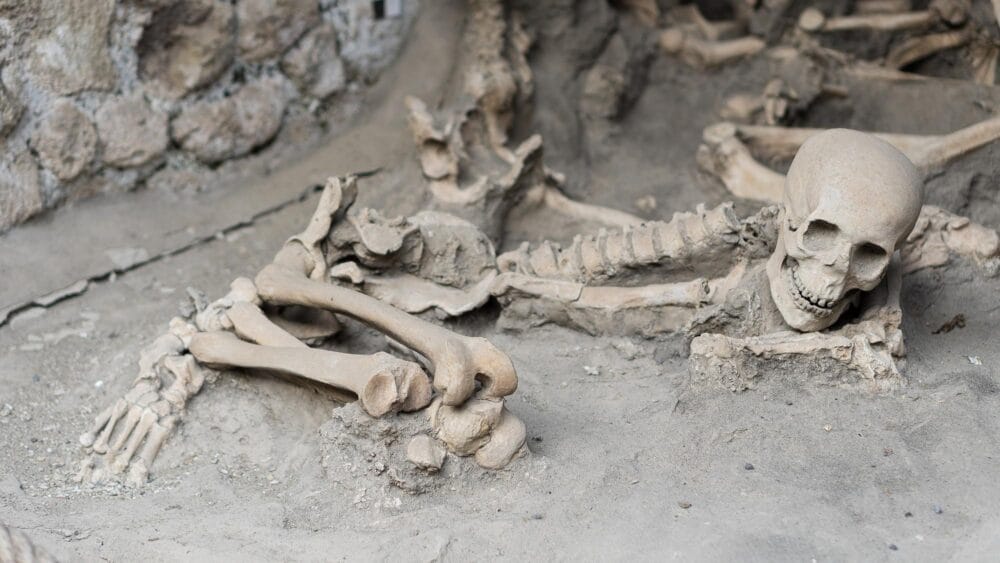 Squelettes retrouvés près du rivage à Herculanum